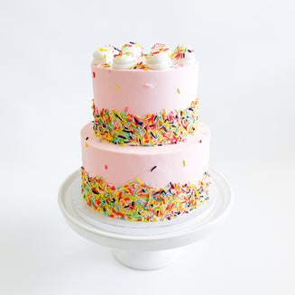 Two-Tier Pastel Party Cake